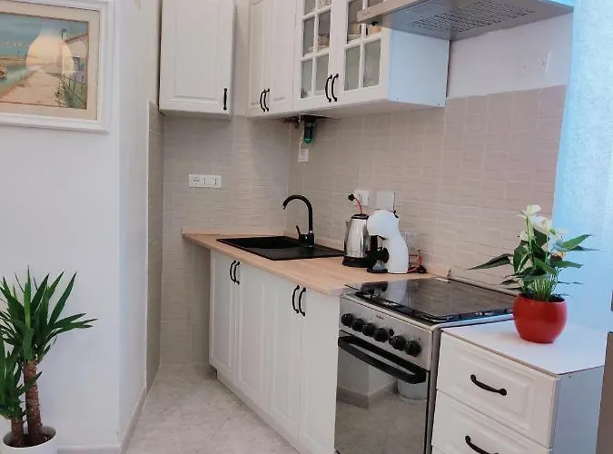 Leni's House 斯培西亚